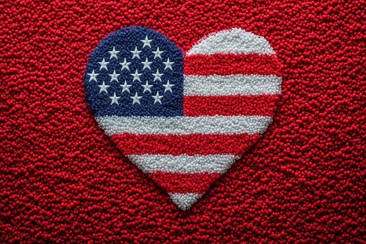 Top United States of America Rugs for Homes and Offices in 2026